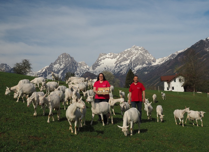 Ziegen%20auf%20Weide%20mit%20Sonja%20Reinhard.jpg